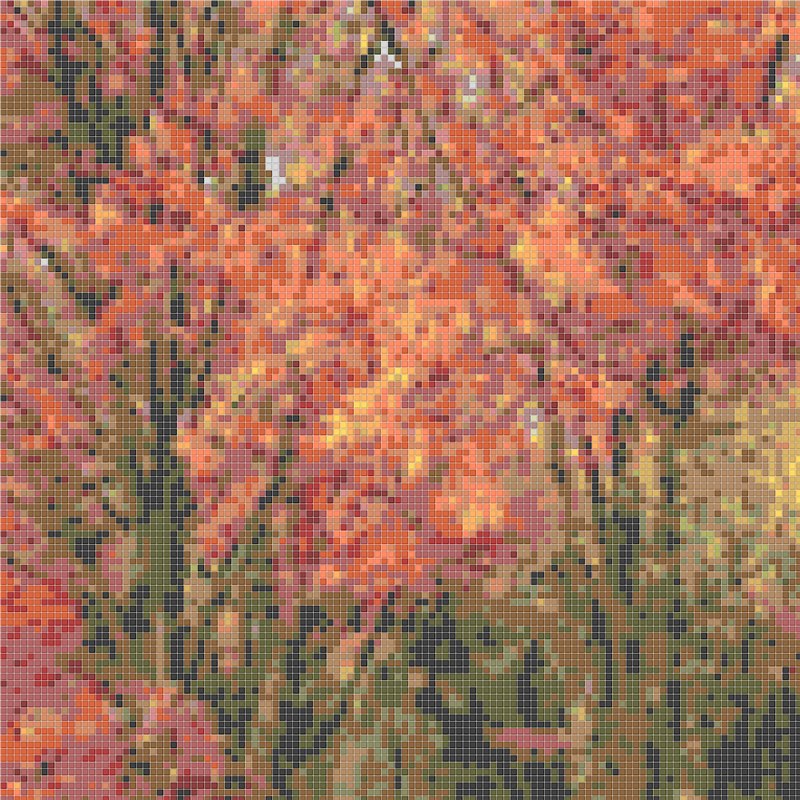 Elaborazione grafica Visiware grafelab002_1000