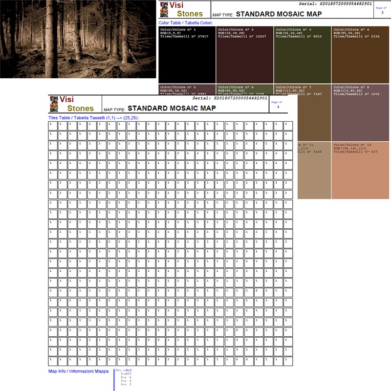 Elaborazione grafica Visiware grafelab007_1000